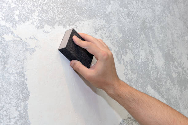 Best Environmental Consulting for Mold Prevention  in Meridian, MS