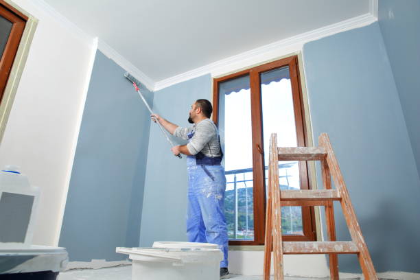 Best Mold Odor Removal Services  in Meridian, MS