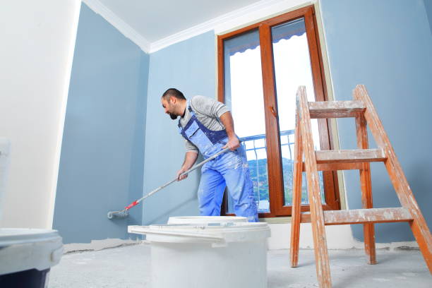 Best Crawl Space Mold Remediation  in Meridian, MS