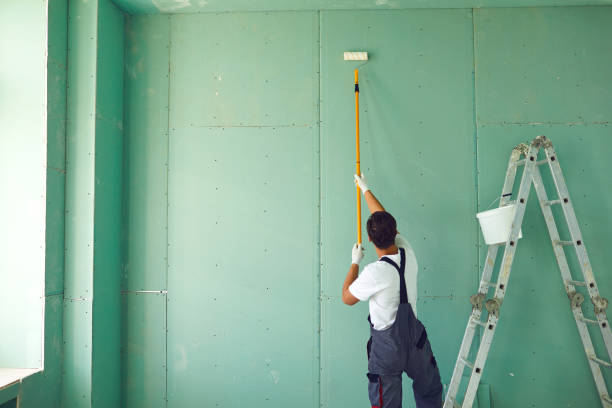 Best Real Estate Mold Inspection  in Meridian, MS