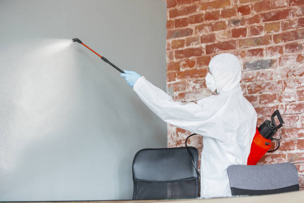 Best Biohazard Mold Removal  in Meridian, MS
