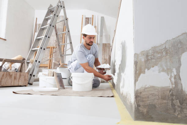 Best HVAC Mold Inspection and Cleaning  in Meridian, MS