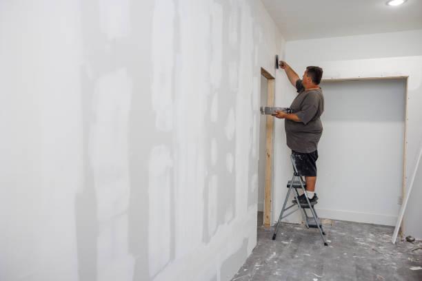 Best Mold Removal for HVAC Installations  in Meridian, MS
