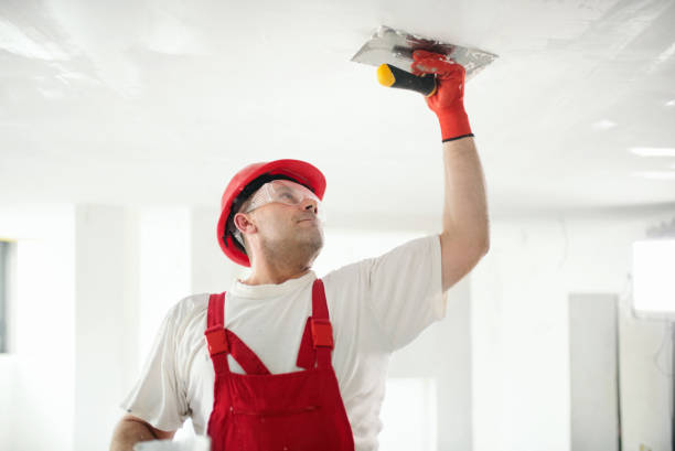 Best Airborne Mold Testing  in Meridian, MS