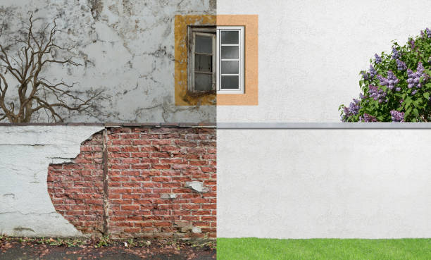  Meridian, MS Mold Removal Pros