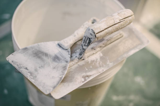 Best Emergency Mold Remediation  in Meridian, MS