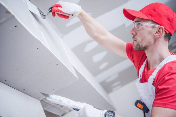 Best Crawl Space Mold Remediation  in Meridian, MS