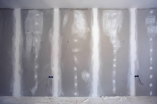Trusted Meridian, MS Mold Removal Experts